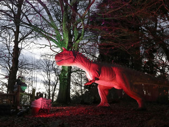 Visitors to Blair Drummond Safari Park near Stirling, Scotland, enjoy the illuminations installed in the Safari Park's new 'World of Dinosaur' exhibit.