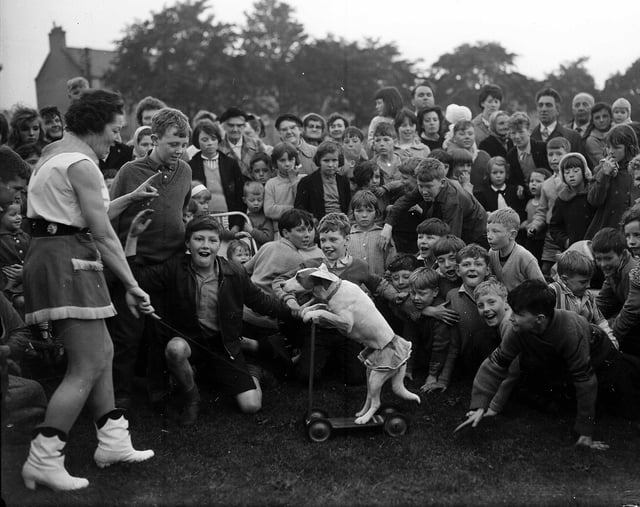 Children watch a dog riding a scooter at the Craigmillar Park Summer Show in 1963.