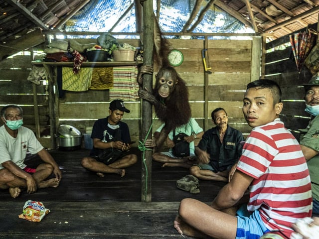 The hut where Kurkur was being kept as a 'pet'