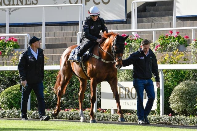 The Australians are expecting their first winner at the royal meeting since Black Caviar ten years ago, with eight-year-old speedster Nature Strip carrying many of their hopes. Despite his age, he is considered to be the best sprinter in the world and tackles the King's Stand Stakes over 5f on Tuesday. Jockey James McDonald labels him "a freak". ([PHOTO BY: Francesca Altoft)