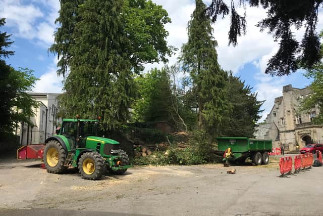 Trees getting chopped down at Kenwood Hall.