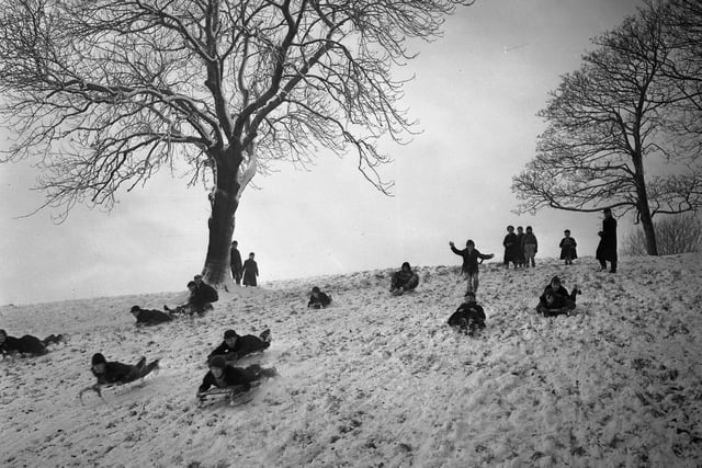 Making the most of the snow in Backhouse Park in 1954.
