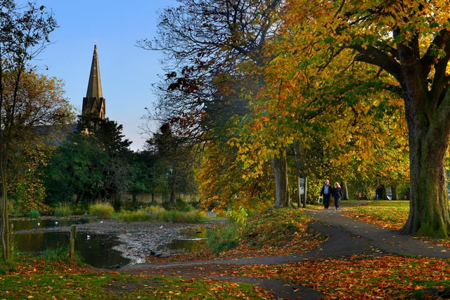 The walk along the River Wansbeck in Morpeth from the Stepping Stones to Carlisle Park is lovely at this time of year.