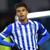 Former Sheffield Wednesday loanee Tyreece John-Jules now plays for Ipswich Town.