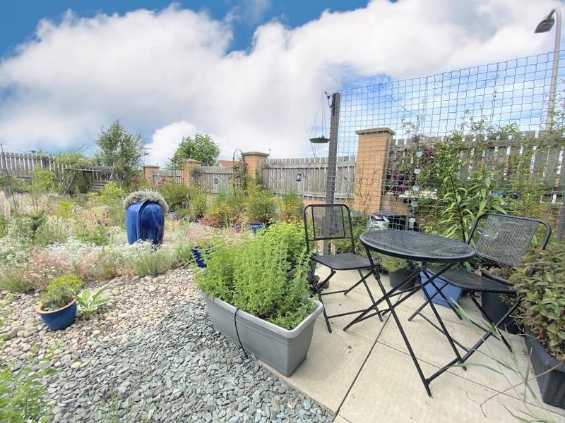Rear garden.