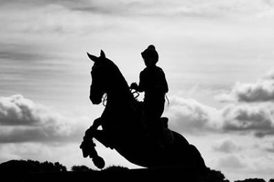 This wonderful horse riding silhoutte was taken by @atmospheric_images