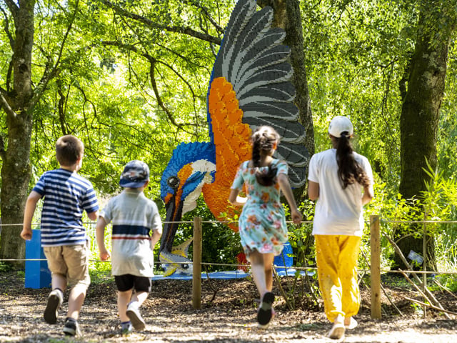 Marwell Zoo welcomes new SUPERSIZED! arrivals ahead of reopening
All Images ©Jason Brown Photography
www.Jasonbrownphotography.co.uk