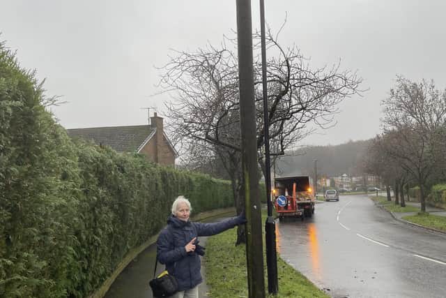 Cllr Barbara Masters is concerned about the development on Silverdale Road.
