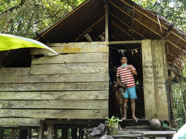 Kurkur in the hut with his 'owner'