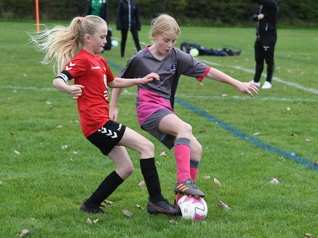 Picture: Neil Marshall