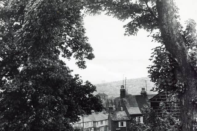 Seen through a bower of trees are the old stone cottages in Stour Lane, Wadsley, in 1967