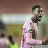 Chey Dunkley is making progress as he looks to get back for Sheffield Wednesday.