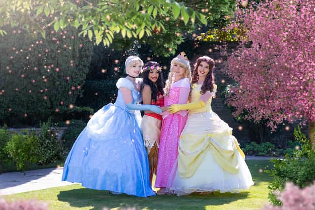 Amber Mae Kisby, owner of Sheffield business A Whole New World Event Entertainment, in the pink Aurora princess costume