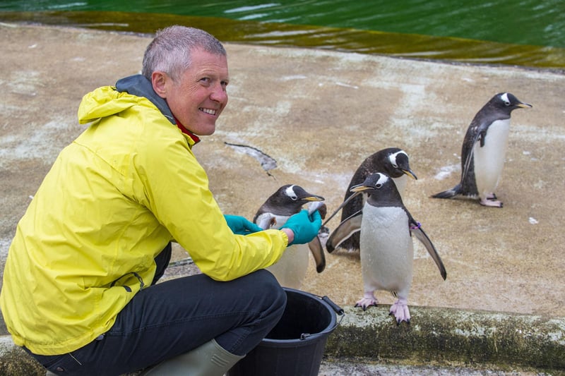 Willie Rennie, pictured with four penguins.
