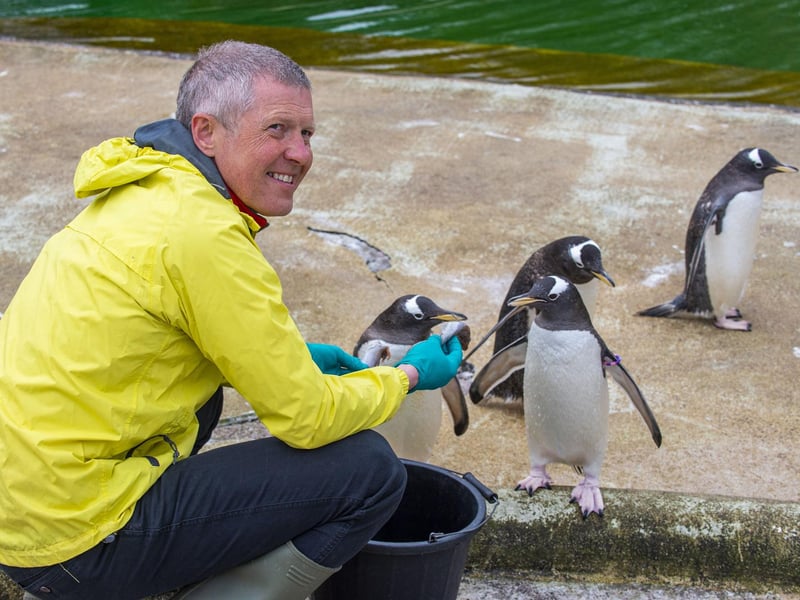 Willie Rennie, pictured with four penguins.