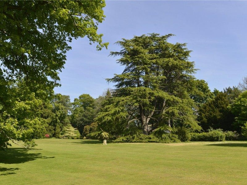 Grounds.