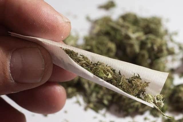 Sheffield Crown Court has heard how a Sheffield drug-drive motorist who confessed to police he had 12 cannabis plants at his home has been given a suspended prison sentence.