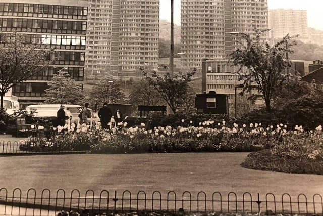 A new view is opened now that demolition on Norfolk Street, Sheffield is complete. This view with St Paul's Gardens flowerbeds in the foreground and the Sheffield Polytechnic and skyscraper flats on the Clay Wood are (Next to Parkhill flats) helped to make a new and pretty view in July 1972.