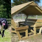 Council officers said a popular dog park – which is the only one of its kind in Sheffield – should stay closed.