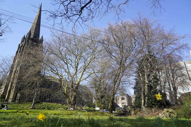 St Marks Green in the Broomhill area of Sheffield, where the new neighbourhood plan focuses.  Picture Scott Merrylees