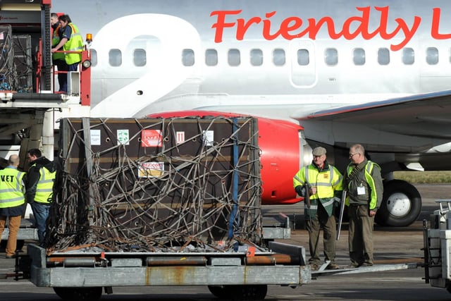 After a huge campiagn to raise funds to rescue lions from Romania living in horrible conditions at a zoo the lions arrived at Doncaster's Robin Hood Airport in 2010 before starting a new life at Yorkshire Wildlife Park's new lion enclosure.