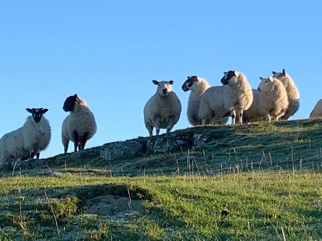 What are you looking at?