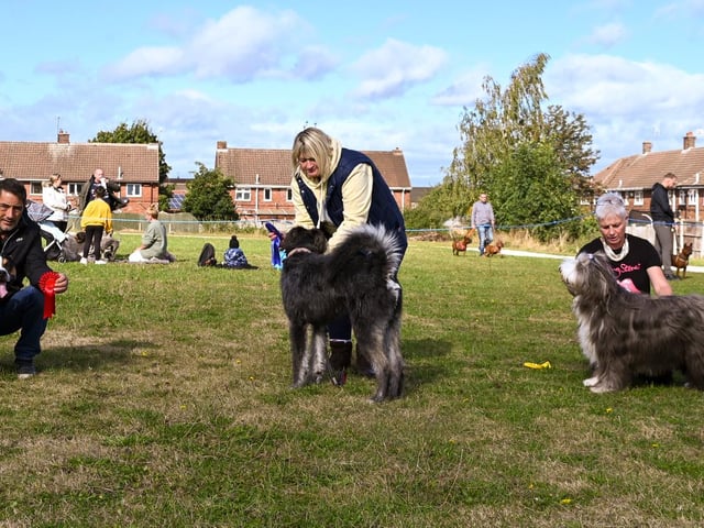 Rosettes were given to the top six in each class