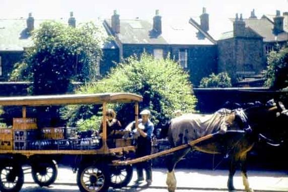 Brightside and Carbrook Co-operative Society's milk delivery, Coleford Road, 1960s (V04498)