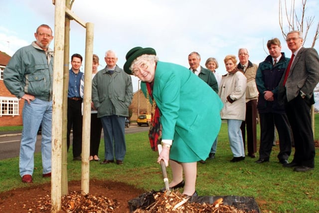 The Mayor of Doncaster Councillor Dorothy Layton planted a tree in Lyndale Avenue in 1996