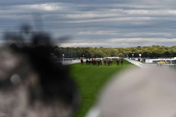 Action from last year's St Leger Festival. Photo by George Wood/Getty Images