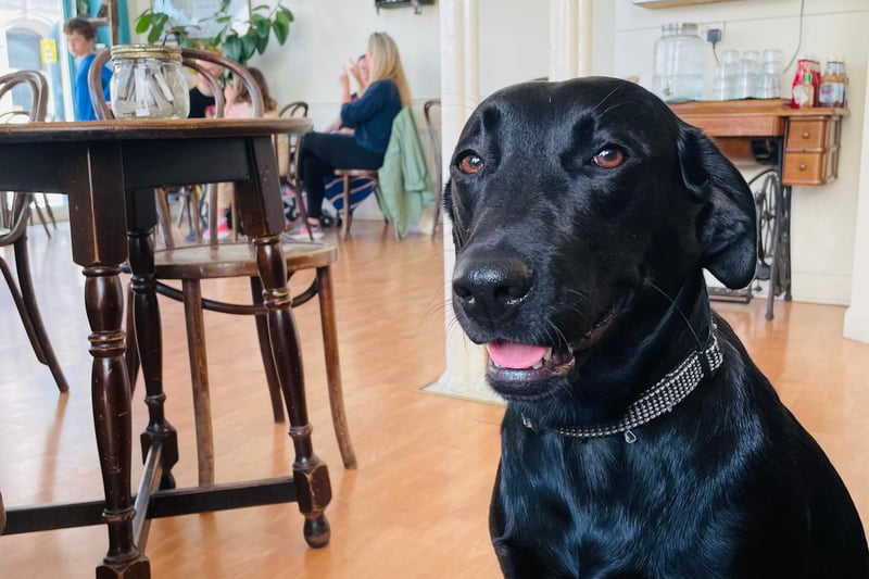 This is Eva the black lab at her favourite Leith cafe, Hideout. In common with most black labs, she is always hungry and happy to Hoover.
40-42 Queen Charlotte Street, www.hideoutcafe.co.uk