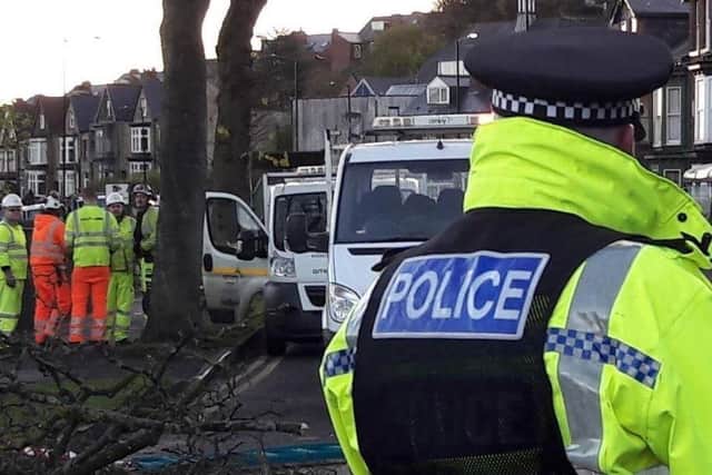 Police supported a pre-dawn tree-felling operation on Rustlings Road in November 2016.