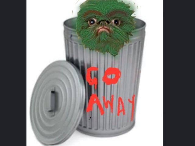 Proshka, who looks like Gizmo from Gremlins,  now has a world wide following on the back of pictures posted on social media by his owner. Here is how he looks as Oscar the Grouch. Pictures: Stefani Doherty / https://www.instagram.com/griffy.girl/