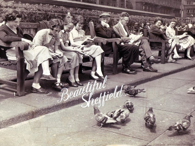 Feeding the pigeons in Sheffield's Peace Gardens in July 1957
