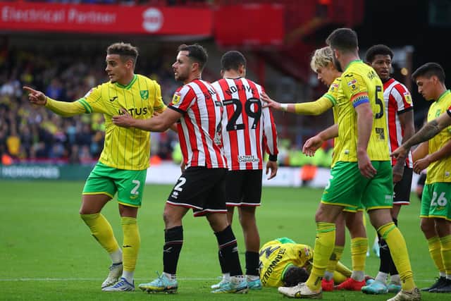 Players from Sheffield United and Norwich City surround the referee after Dimitris Giannoulis of Norwich City went down again at Bramall Lane: Simon Bellis / Sportimage