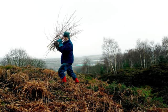 Wadsley Common conservation work: Chris Bullock of Sheffield Conservation Volunteers clearing birch saplings.