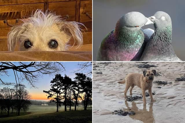 Here are 15 of your pictures that have made us smile over the last week.