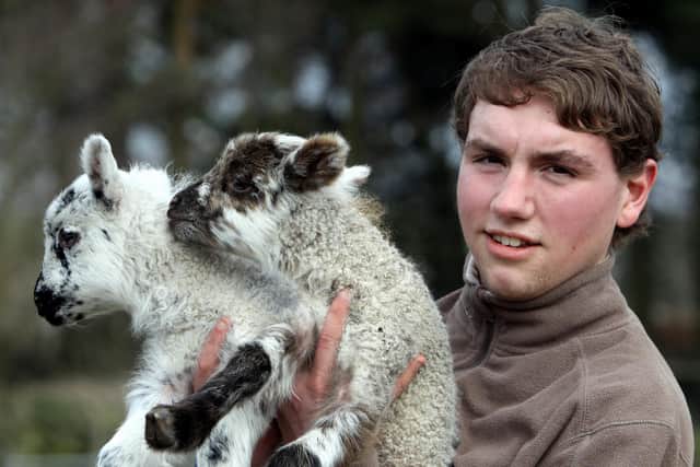 Matlock Farm Park has a range of vacancies, including assistant manager operations, cafe assistants, riding instructor and farm assistant. See the park's Facebook page for more details. Volunteer Aaron Hughes is pictured with three-day-old Suffolk cross Highland lambs at the family attraction.