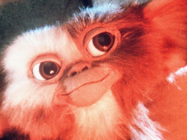 "First of all, keep him out of the light, he hates bright light, especially sunlight, it'll kill him. Second, don't give him any water, not even to drink" - you got that? Good, now go watch 1980's classic Gremlins.