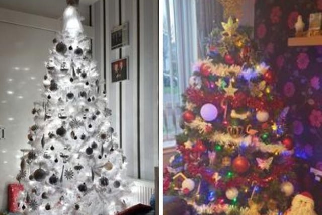 This striking black and white tree (black) belongs to Agnes Lamb, and this tinsel-wrapped tree to Arlene Sutherland