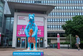The bears of Sheffield have appeared around the city, raising money for the Children's Hospital Charity