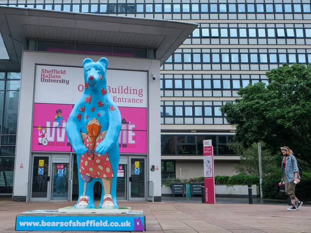 The bears of Sheffield have appeared around the city, raising money for the Children's Hospital Charity