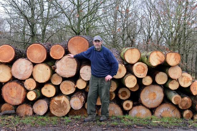 Estate Ranger Ian Nairn with some of the fallen timber.