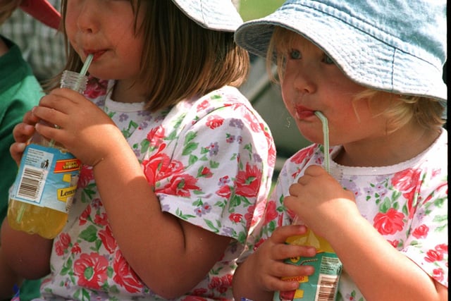 Sisters Sophie and Molly Eborall enjoying a drink at the festival in Hillsborough Park, part of the Euro 96 celebrations.
