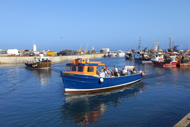 A boat trip arrives back at Seahouses harbour.