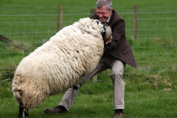 Scottish Liberal Democrat leader Willie Rennie with a ram during a visit to Mill House farm in Kelty, Fife, as he campaigned in the Scottish local elections. PRESS ASSOCIATION Photo. Picture date: Friday April 21, 2017. Photo credit should read: Andrew Milligan/PA Wire