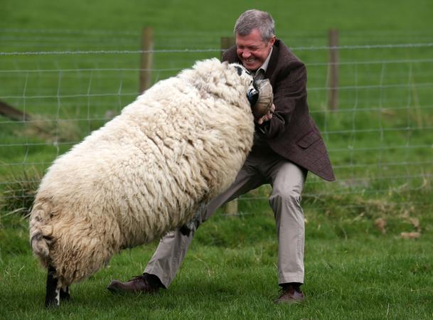 Scottish Liberal Democrat leader Willie Rennie with a ram during a visit to Mill House farm in Kelty, Fife, as he campaigned in the Scottish local elections. PRESS ASSOCIATION Photo. Picture date: Friday April 21, 2017. Photo credit should read: Andrew Milligan/PA Wire