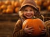 Cannon Hall Farm: South Yorkshire pumpkin patch is the most in-demand in the UK this Halloween