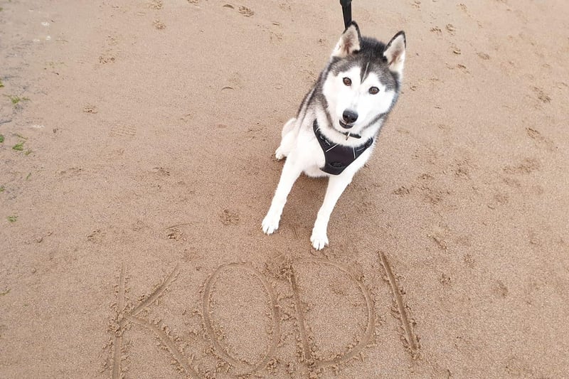 Kodi age 12 leaves his pawprint at the beach.