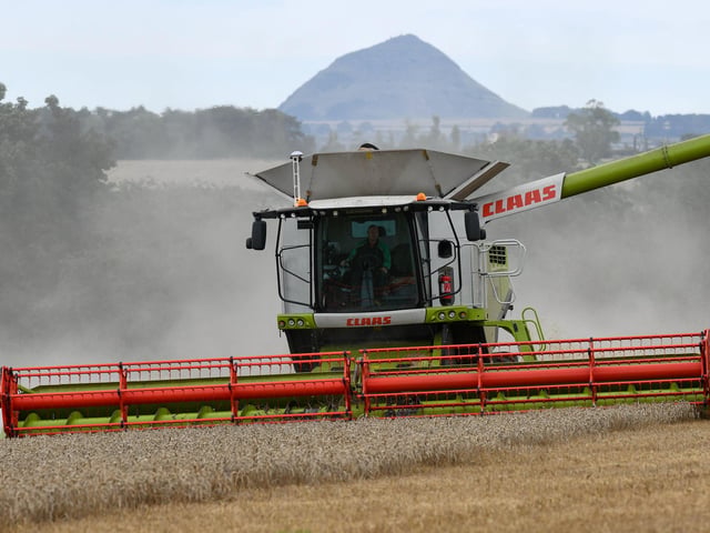 Wheat harvest at Wheatrig Farm, Longniddry. North Berwick Law Hill in the background.